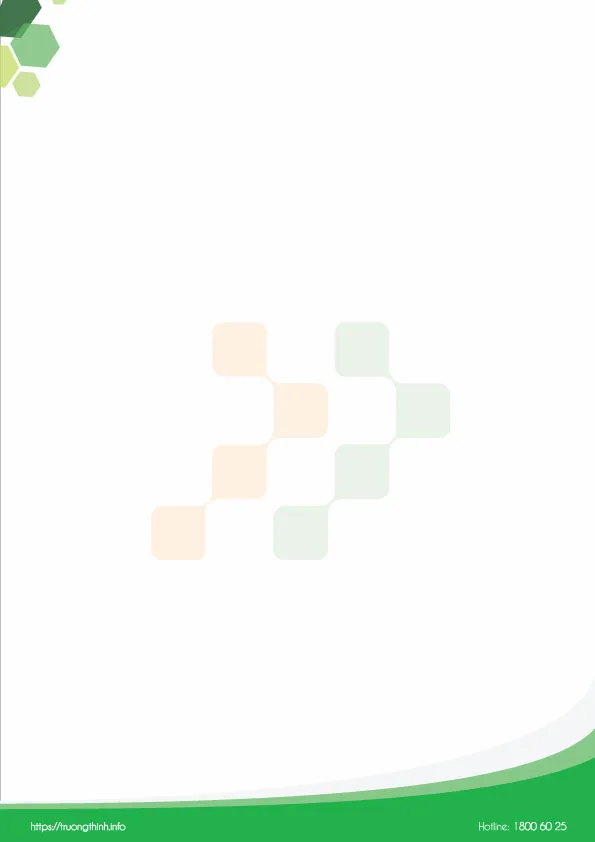 Mẫu letterhead